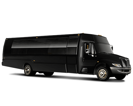 20 Passenger Minibus in Mobile, AL
